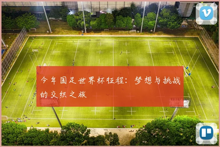 今年国足世界杯征程：梦想与挑战的交织之旅