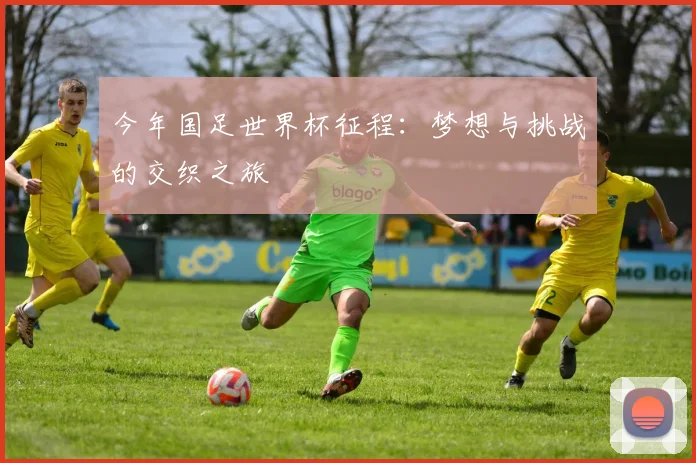 今年国足世界杯征程：梦想与挑战的交织之旅